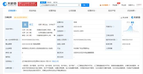 信息系统集成服务的价值与核心要素