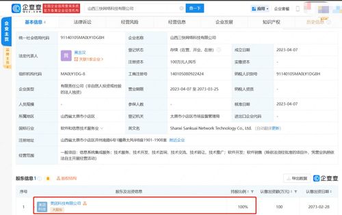 信息系统集成服务 构建数字化未来的关键桥梁